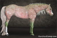 Horse Color:Watercolor Silver Brown Ice 
