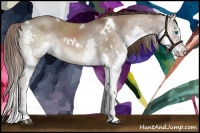 Horse Color:White Spotted Liver Red Dun Splash Brindle
