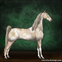 Horse Color:White Spotted Liver Red Dun Pearl 