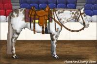 Horse Color:Chocolate Palomino Frame Appaloosa 