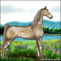 Horse Color:White Spotted Chocolate Palomino Roan Dun