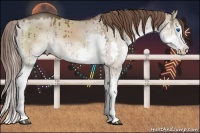 Horse Color:White Spotted Liver Red Dun Sabino Splash