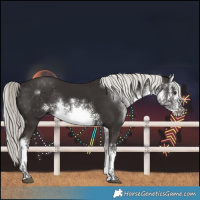 Horse Color:White Spotted Liver Chestnut Mushroom Rabicano 