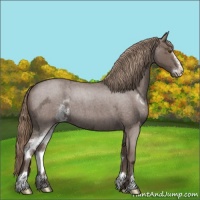Horse Color:Liver Red Ice Roan Sabino 