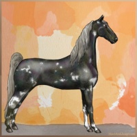 Horse Color:White Spotted Midnight Chocolate Palomino Ice 
