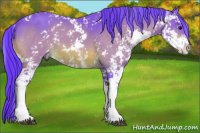 Horse Color:Watercolor Bay Sabino 