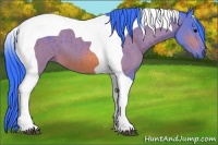 Horse Color:Watercolor Brown Tobiano 