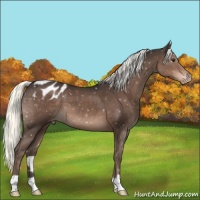 Horse Color:Liver Chestnut Mushroom Snowflake Varnish 