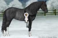 Horse Color:Black Rabicano 