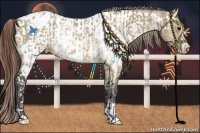 Horse Color:Buckskin Dun Varnish Rabicano and Buckskin Dun Sabino Near Leopard Rabicano