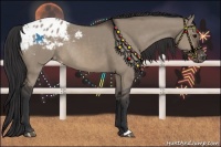 Horse Color:Brown Dun Appaloosa Rabicano 
