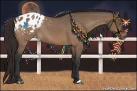 Horse Color:Bay Dun Blanket Rabicano 