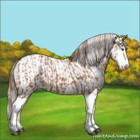 Horse Color:Chestnut Sabino Splash and Chestnut Tobiano Snowcap