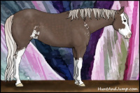 Horse Color:Silver Black Sabino Splash