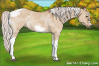 Horse Color:Silver Bay Dun Tobiano Frame Rabicano 