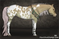Horse Color:Silver Brown Dun Tobiano Frame Appaloosa Rabicano