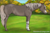 Horse Color:Silver Black 