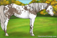 Horse Color:Silver Black Splash Tobiano 