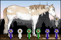 Horse Color:White Spotted Smoky Black Pearl Splash Frame Rabicano