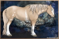 Horse Color:White Spotted Chocolate Palomino Pearl Rabicano