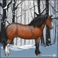 Horse Color:Brown Appaloosa