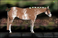 Horse Color:White Spotted Chestnut Sabino 