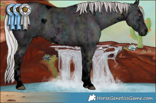 Horse Color:Void White Spotted Midnight Chocolate Silver Brown Chinchilla Ice Onyx Mushroom Brindle 