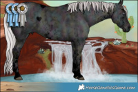 Horse Color:Void White Spotted Midnight Chocolate Silver Brown Chinchilla Ice Onyx Mushroom Brindle 