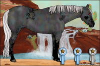 Horse Color:Void White Spotted Midnight Chocolate Silver Brown Chinchilla Ice Onyx Mushroom Brindle 