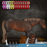Horse Color:Liver Chestnut 