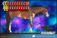 Horse Color:White Spotted Brown 