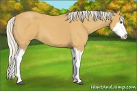 Horse Color:Silver Buckskin Roan Splash