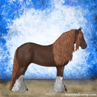 Horse Color:Gray Chestnut 