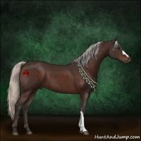 Horse Color:Silver Brown 