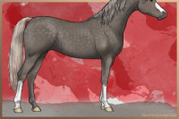 Horse Color:Silver Black 