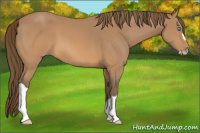 Horse Color:Gray Perlino 