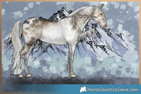 Horse Color:Silver Smoky Grullo Splash Tobiano Frame Rabicano