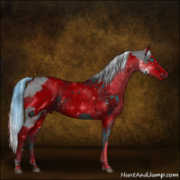 Horse Color:ERROR: UNKNOWN ANOMALY and ERROR: UNKNOWN ANOMALY