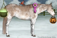Horse Color:Bay Dun Sabino Tobiano Appaloosa and White Spotted Liver Red Dun Splash Frame