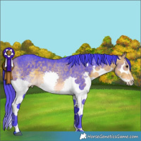 Horse Color:Watercolor Buckskin Splash 