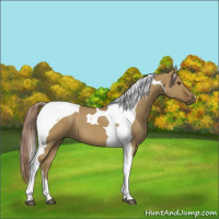 Horse Color:Chocolate Palomino Dun Tobiano 