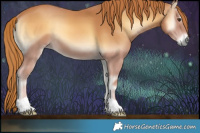 Horse Color:Red Onyx