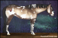 Horse Color:White Spotted Brown Onyx Frame Rabicano