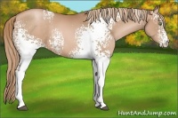 Horse Color:White Spotted Liver Chestnut Pearl 
