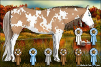 Horse Color:Gray White Spotted Perlino Splash