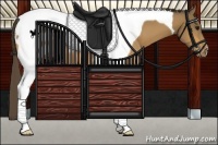 Horse Color:Buckskin Tobiano Appaloosa 