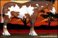 Horse Color:Silver Brown Frame 