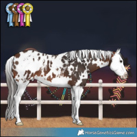 Horse Color:White Spotted Brown Splash Blanket