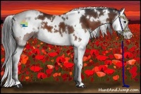 Horse Color:White Spotted Brown Splash 