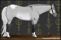 Horse Color:Silver Brown Chinchilla Dun Appaloosa 